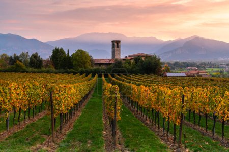 Morning sunrise in Franciacorta, Brescia province in Lombardy district, Italy, Europe.