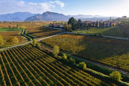 Photo for Aerial view from Franciacorta, Brescia province in Lombardy district, Italy, Europe. - Royalty Free Image