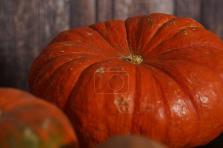 Photo for A close up photo of a bright orange pumpkin with early stages of fungal damage grey mold. - Royalty Free Image
