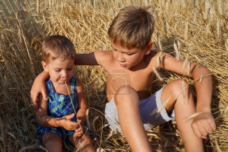 Téléchargez les photos : Les frères sont assis sur un champ d'été parmi les épillets de blé. Les valeurs familiales. L'amitié éternelle. - en image libre de droit