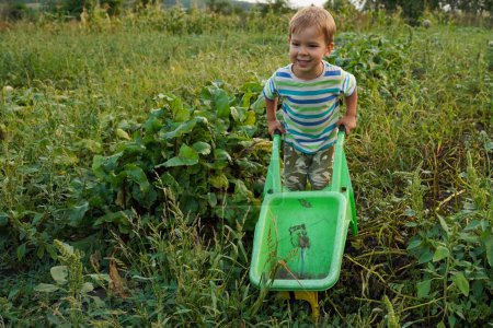 Photo for A smiling boy of 4 years old is happy to help on the farm. Blonde little boy with a wheelbarrow in domestic garden. Little boy helper. - Royalty Free Image