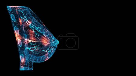 Foto de Escaneo de pecho femenino 3D. Interfaz de escaneo mamario. HUD mujer pecho analizar. Concepto de anatomía de la ciencia médica. Por título, texto, presentación. animación 3d - Imagen libre de derechos