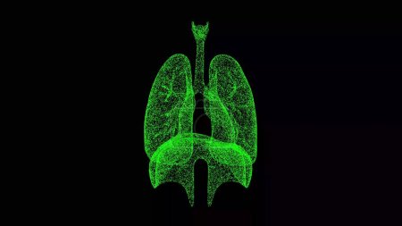 Photo for 3D human lungs on black bg. Respiratory system human body. Object dissolved flickering particles. Scientific medical concept. For title, text, presentation. 3d animation - Royalty Free Image
