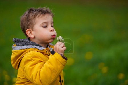 Téléchargez les photos : Mignon garçon marche à travers un champ vert et souffle sur un pissenlit, une enfance heureuse insouciante - en image libre de droit