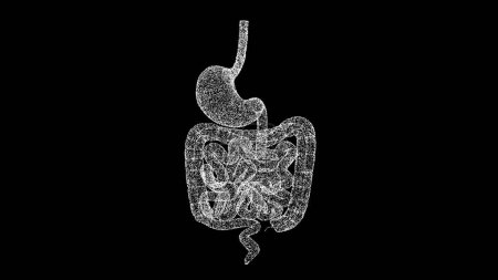 Photo for 3D stomach and intestines on black bg. The human digestive system. Scientific medical concept. For title, text, presentation. Object dissolved flickering particles. 3d animation - Royalty Free Image