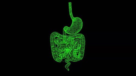 Photo for 3D stomach and intestines on black bg. The human digestive system. Scientific medical concept. For title, text, presentation. Object dissolved flickering particles. 3d animation - Royalty Free Image