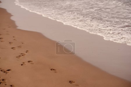 The soft glow of sunset casts a warm hue over a meandering path of footprints on the beach, alongside the gentle surf. Winding Footprints on Seashore at Sunset.