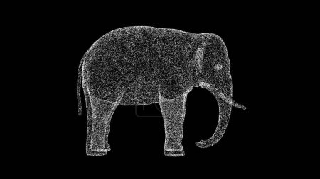 3D Elephant on black background. Wild Animals concept. Circus and Zoo. Business advertising backdrop. For title, text, presentation. 3d animation