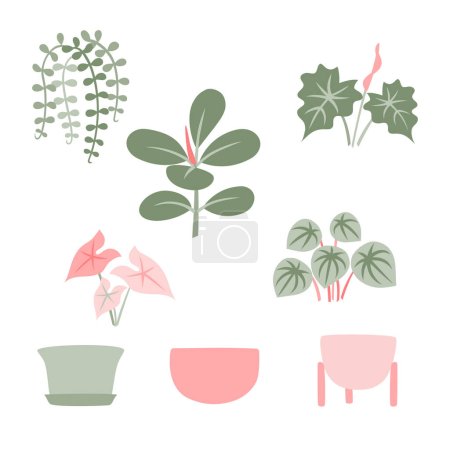 Illustration for Indoor plant with pot - collection - Royalty Free Image