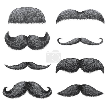 Ilustración de Different styles of male realistic mustaches set - Imagen libre de derechos