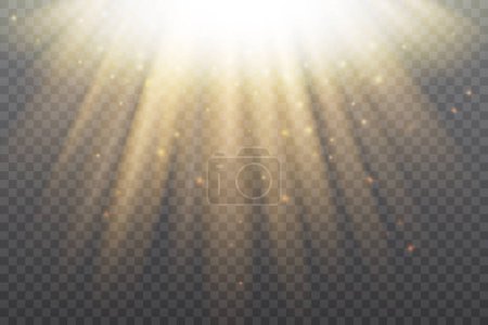 Illustration for Golden sun shine, light effect vector illustration. Brigh yellow gold glory sunshine of sunbeams shining in radial flare, magic warm glimmer, energy explosion isolated on transparent dark background - Royalty Free Image