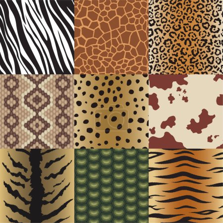 Photo for Seamless animal skin patterns set. Safari textile of Giraffe, tiger, zebra, leopard, reptile, cow, snake and jaguar background collection vector illustration - Royalty Free Image