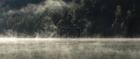 Photo for Foggy mountain lake with misty fir forest in the background - Royalty Free Image