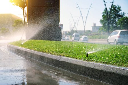 Foto de Sistema automático de riego de césped con césped decorativo en la carretera de la ciudad. Mejorar el clima y el medio ambiente urbano. - Imagen libre de derechos