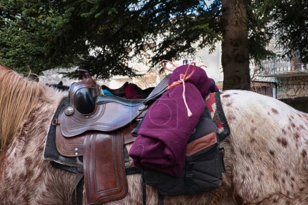 Téléchargez les photos : Westerrn saddle in real leather, equipped for long trekking. - en image libre de droit