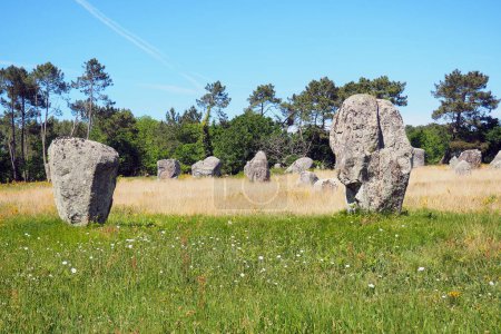 Téléchargez les photos : View of the alignments of menhirs of Carnac, a famous Neolithic UNESCO World Heritage site located in Brittany in western France - en image libre de droit