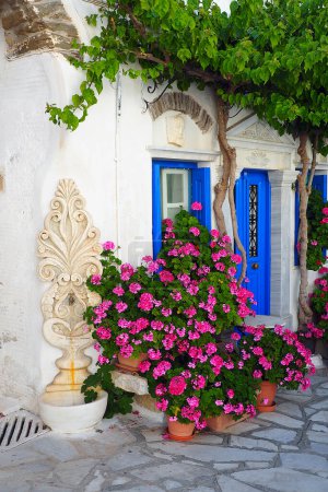 Lors de vos promenades dans les ruelles de Pyrgos, un charmant village d'artisans de marbre blanc sur l'île de Tinos, au c?ur de la mer Égée, vous pourrez étancher votre soif à cette jolie fontaine fleurie