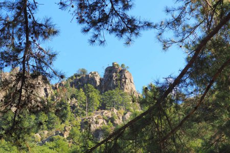 Téléchargez les photos : Au départ de Corte, au cœur de la Corse, surnommée l "île de Beauté, les gorges de Restonica offrent de nombreuses possibilités de baignade et de randonnée - en image libre de droit