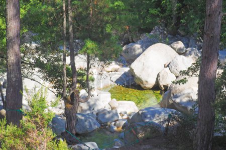Téléchargez les photos : La Restonica coule au fond de superbes gorges qui offrent de nombreuses possibilités de baignade et de randonnée depuis Corte, au cœur de la Corse, surnommée l "île de Beauté - en image libre de droit