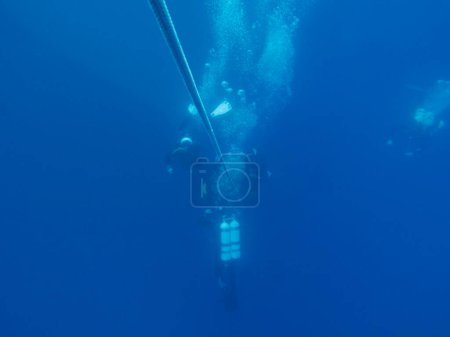 Foto de Deco parada en el azul profundo - Imagen libre de derechos