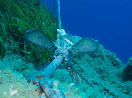 Ancrage de grappin pliant photographié sous l'eau à Chypre