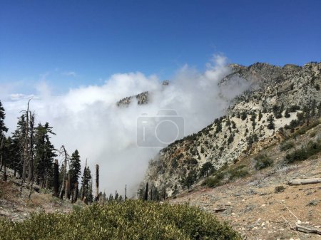 Téléchargez les photos : Au-dessus des nuages. Un cliché près du sommet du pic CucXoa en Californie du Sud. - en image libre de droit