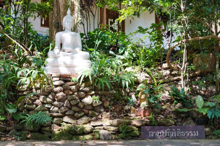 Téléchargez les photos : Zone de méditation calme et paisible zen-like parmi la forêt extérieure verte et l'arbre pour méditer et respirer dans la nature sans personne. Traduction thaïlandaise du texte : "Retraite du Dhamma, Zone de méditation" - en image libre de droit