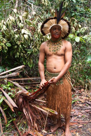 Téléchargez les photos : Tupinamba Indien brésilien avec des vêtements typiques marchant dans la forêt tropicale. - en image libre de droit