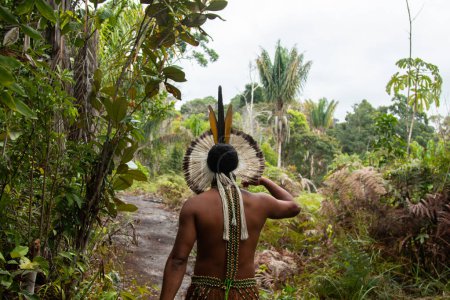 Téléchargez les photos : Tupinamba Indien brésilien avec des vêtements typiques marchant dans la forêt tropicale. - en image libre de droit