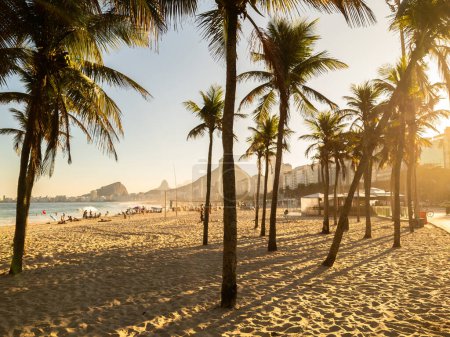 Téléchargez les photos : Coucher de soleil sur la plage de Leme et Copacabana avec cocotiers à Rio de Janeiro Brésil. - en image libre de droit