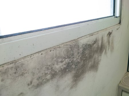 Foto de Hongo del molde en la pared blanca de la ventana. Problema de humedad - Imagen libre de derechos