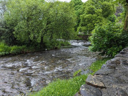 Ein friedlicher Fluss, der durch einen saftig grünen Wald fließt. Ruhige Naturlandschaft mit fließendem Wasser, Grün und Felsen.