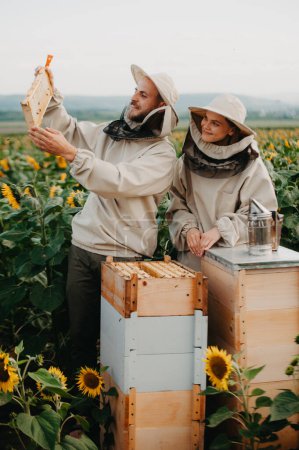 Un jeune apiculteur familial positif travaille dans une ferme qui produit du miel dans des tournesols au coucher du soleil. Concept de production de miel