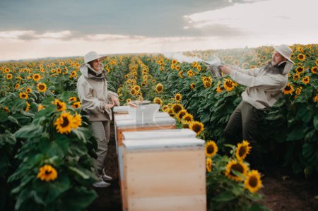 Téléchargez les photos : Les jeunes apiculteurs travaillent avec les abeilles dans le rucher et mangent du miel.Une jeune famille d'apiculteurs collecte le miel dans un champ de tournesols. Concept de collecte du miel - en image libre de droit