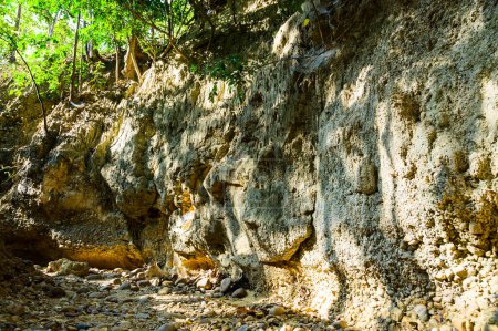 Téléchargez les photos : Soil layer at the nature trail in Mae Wang National Park, Chiang Mai Province. - en image libre de droit