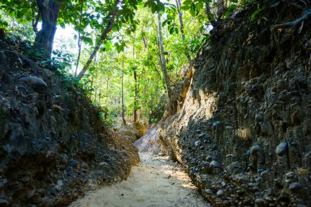 Téléchargez les photos : Pha Chor Tectonics Nature Trail in Mae Wang National Park, Chiang Mai Province. - en image libre de droit