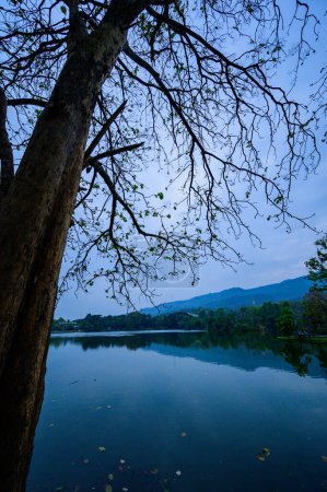 Photo for Ang Kaew Reservoir in Chiangmai Province at Evening, Thailand. - Royalty Free Image