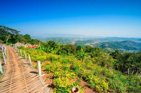 Téléchargez les photos : CHIANG RAI, THAÏLANDE - 14 décembre 2019 - Vue panoramique au belvédère de Doi Sa Ngo, province de Chiang Rai. - en image libre de droit