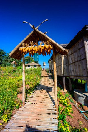 Téléchargez les photos : Doi Sa Ngo viewpoint in Chiang Rai province, Thailand. - en image libre de droit