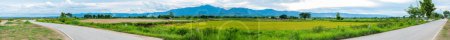 Téléchargez les photos : Panorama View of Rice Field in Phayao Province, Thailand. - en image libre de droit