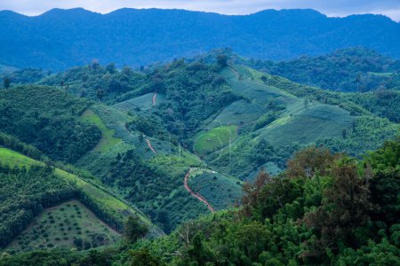 Téléchargez les photos : Vue sur la montagne dans la province de Phayao, Thaïlande. - en image libre de droit