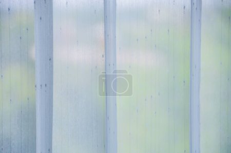 Foto de White sheer curtains hanging on the window, Thailand. - Imagen libre de derechos