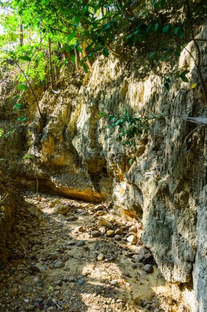 Téléchargez les photos : Soil layer at the nature trail in Mae Wang National Park, Chiang Mai Province. - en image libre de droit