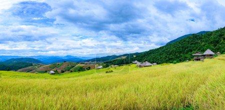 Photo for Panorama View of Pa Bong Piang Rice Terraces at Chiang Mai Province, Thailand. - Royalty Free Image
