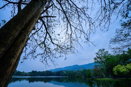 Photo for Ang Kaew Reservoir in Chiangmai Province at Evening, Thailand. - Royalty Free Image