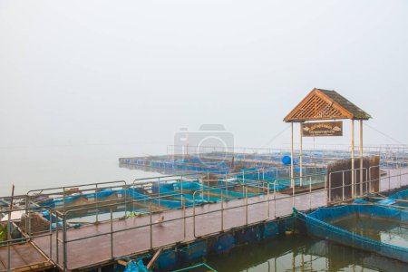 Téléchargez les photos : Cage à poisson dans le lac Kwan Phayao, Thaïlande. - en image libre de droit