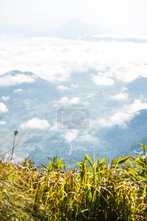 Photo for Fog Sea at Phu Chi Fa View Point in Chiangrai Province, Thailand. - Royalty Free Image