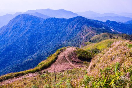 Photo for Phu Chi Fa View Point in Chiangrai Province, Thailand. - Royalty Free Image