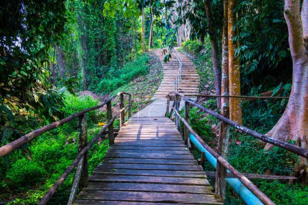 Small Bridge in Doi Phu Nang National Park, Thailand.