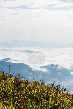 Photo for Fog Sea at Phu Chi Fa View Point in Chiangrai Province, Thailand. - Royalty Free Image